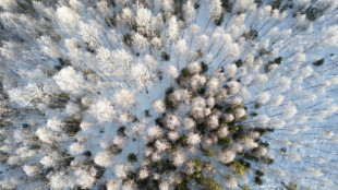 El verano de 2024 en Laponia fue el m&aacute;s c&aacute;lido de los &uacute;ltimos 2.000 a&ntilde;os