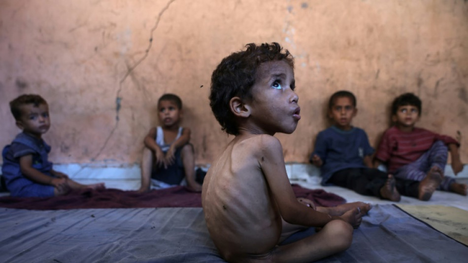 'Famine', 'starvation': the challenges in defining Gaza's plight