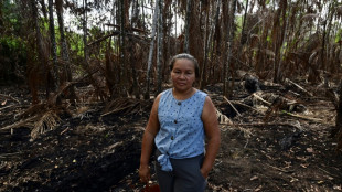Impunidad e inacci&oacute;n: habitantes de Amazon&iacute;a brasile&ntilde;a exigen coto al fuego