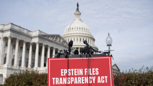 Epstein, dem pubblicano nuove foto con Chomsky e Gates