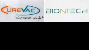 Mariage entre les Allemands BioNTech et CureVac dans la recherche contre le cancer