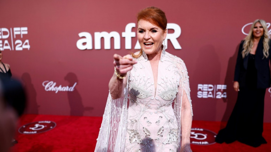 L'amfAR l&egrave;ve 16 millions de dollars pour la recherche contre le sida