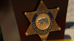 Auto f&auml;hrt in Hollywood in Menschenmenge - Mindestens 28 Verletzte