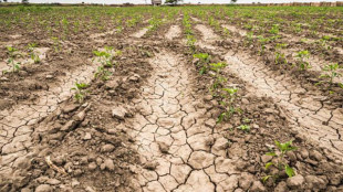 Siccit&agrave; in aumento nel mondo da 121 anni, impennata dal 2018