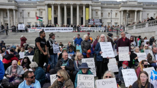 Cuatro activistas propalestinos condenados en Reino Unido por acci&oacute;n contra empresa de armas israel&iacute;