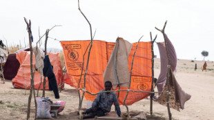 Soudan: 40 morts au Kordofan, les combats s'intensifient dans la r&eacute;gion