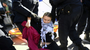 La activista ecologista Greta Thunberg es detenida en Bruselas durante una manifestaci&oacute;n