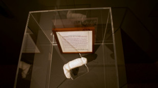 Isl&auml;ndisches Phallusmuseum enth&uuml;llt Gips-Abguss von Jimi Hendrix' Penis 