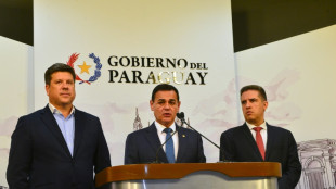 Paraguay convoca al embajador de Brasil a dar "explicaciones" por espionaje