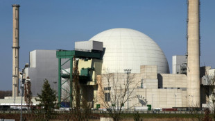 Neue Castorbeh&auml;lter d&uuml;rfen vorerst an Atomkraftwerk Phillipsburg  eingelagert werden