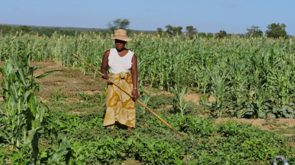 Cada vez m&aacute;s trabajadores sufren riesgos de salud por el cambio clim&aacute;tico