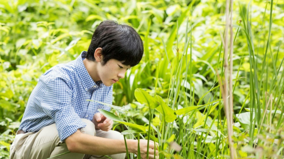 Japon: Hisahito, deuxi&egrave;me dans l'ordre de succession de l'Empereur f&ecirc;te ses 18 ans