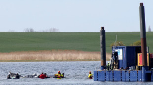 German bid to rescue 'Timmy' the whale passes key hurdle