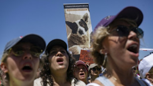 Brigitte Bardot macht sich bei Erdogan f&uuml;r Stra&szlig;enhunde stark