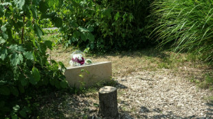 Macron decries antisemitic 'hatred' after memorial tree cut down