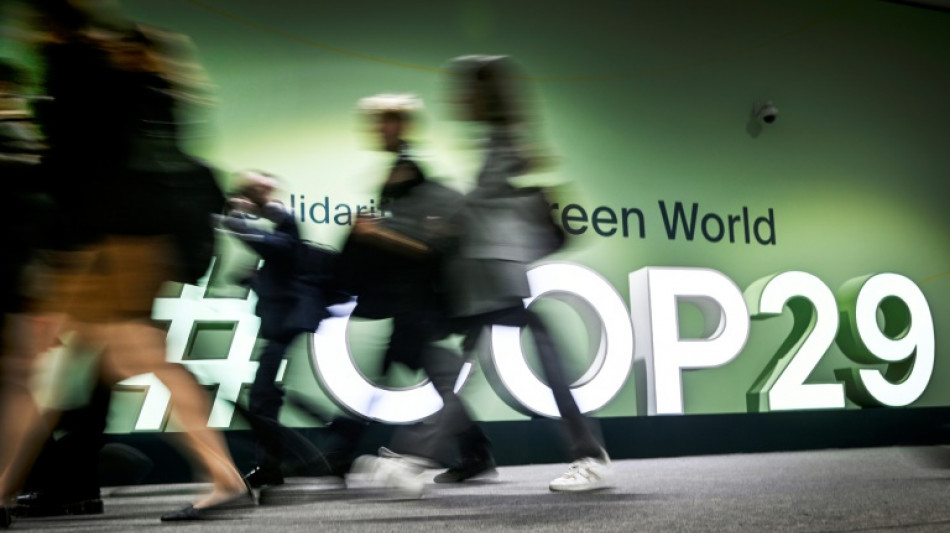 Teilnehmerstaaten einigen sich bei COP29 auf Regeln f&uuml;r den Emissionshandel