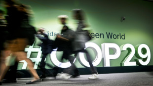 UN-Klimakonferenz: Aktivisten kritisieren Teilnahme von Vertretern der &Ouml;lindustrie