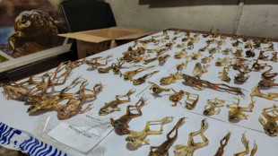 "Viagra des Incas": des centaines de grenouilles aux vertus suppos&eacute;ment aphrodisiaques saisies au P&eacute;rou