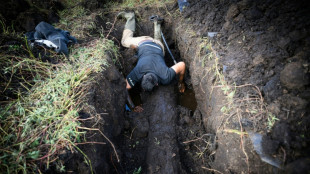 Dans le marais de Bri&egrave;re, des ch&ecirc;nes enfouis t&eacute;moins de l'histoire du climat