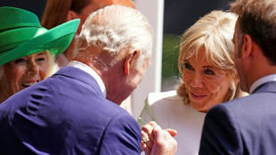 Kisses, handshakes: British royals host friendly state visit for French president