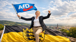 AfD mit absolutem Rekord im S&uuml;dwesten
