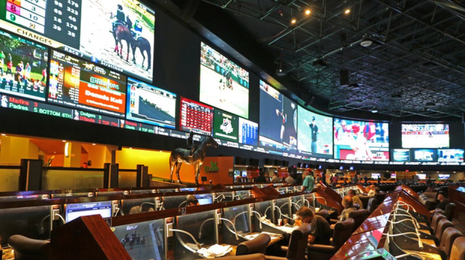 U.S. Polo Assn. gana oro y plata en los Premios Stevie 2025 en los International Business Awards